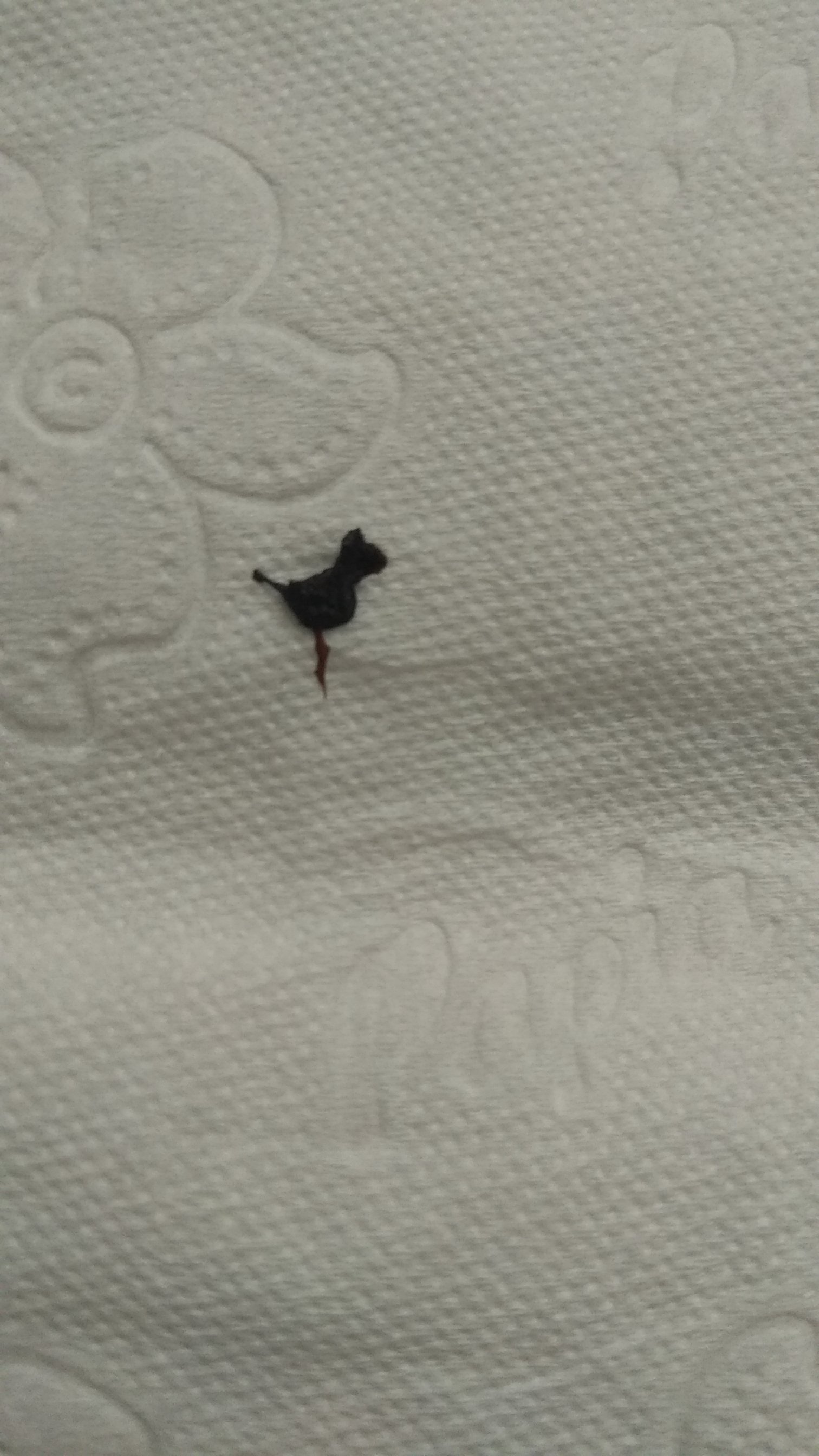 IMG-20210421-WA0000.jpeg