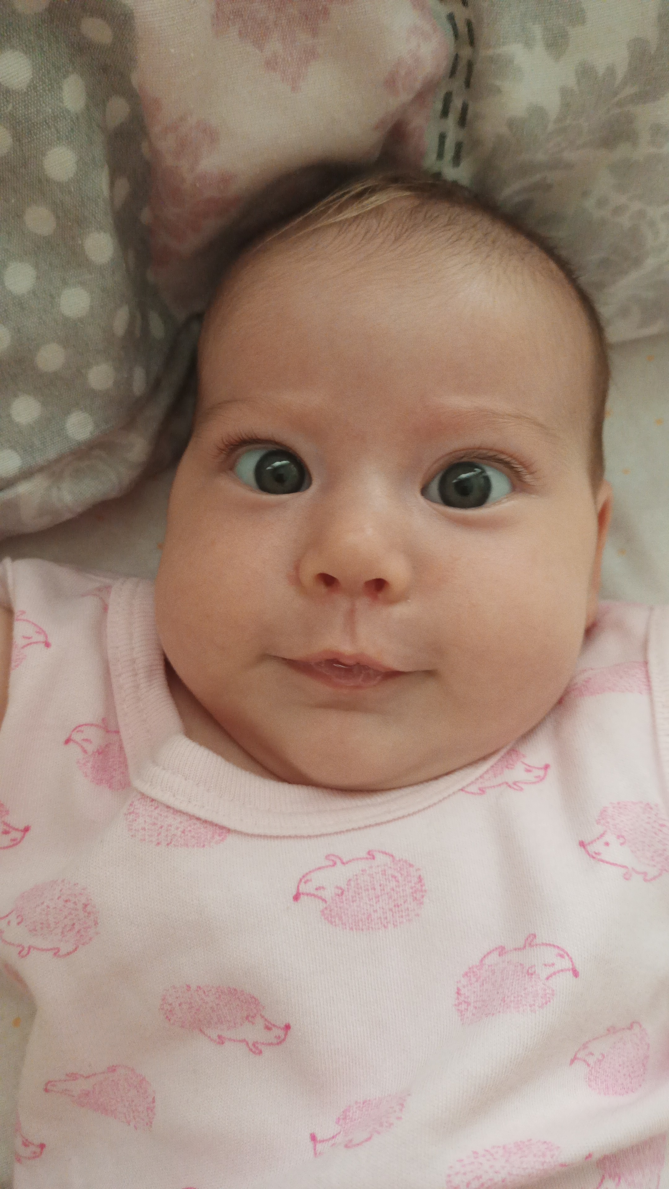 IMG-20220803-WA0032.jpeg