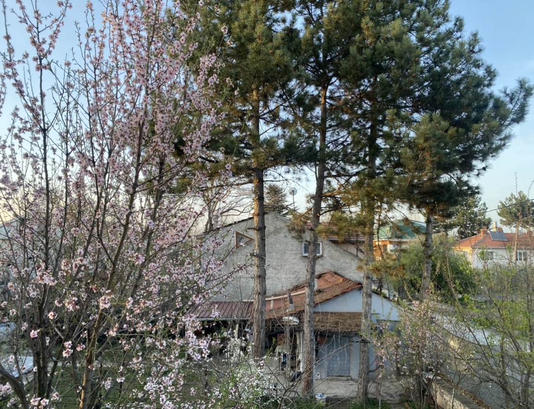 IMG_0405.jpeg