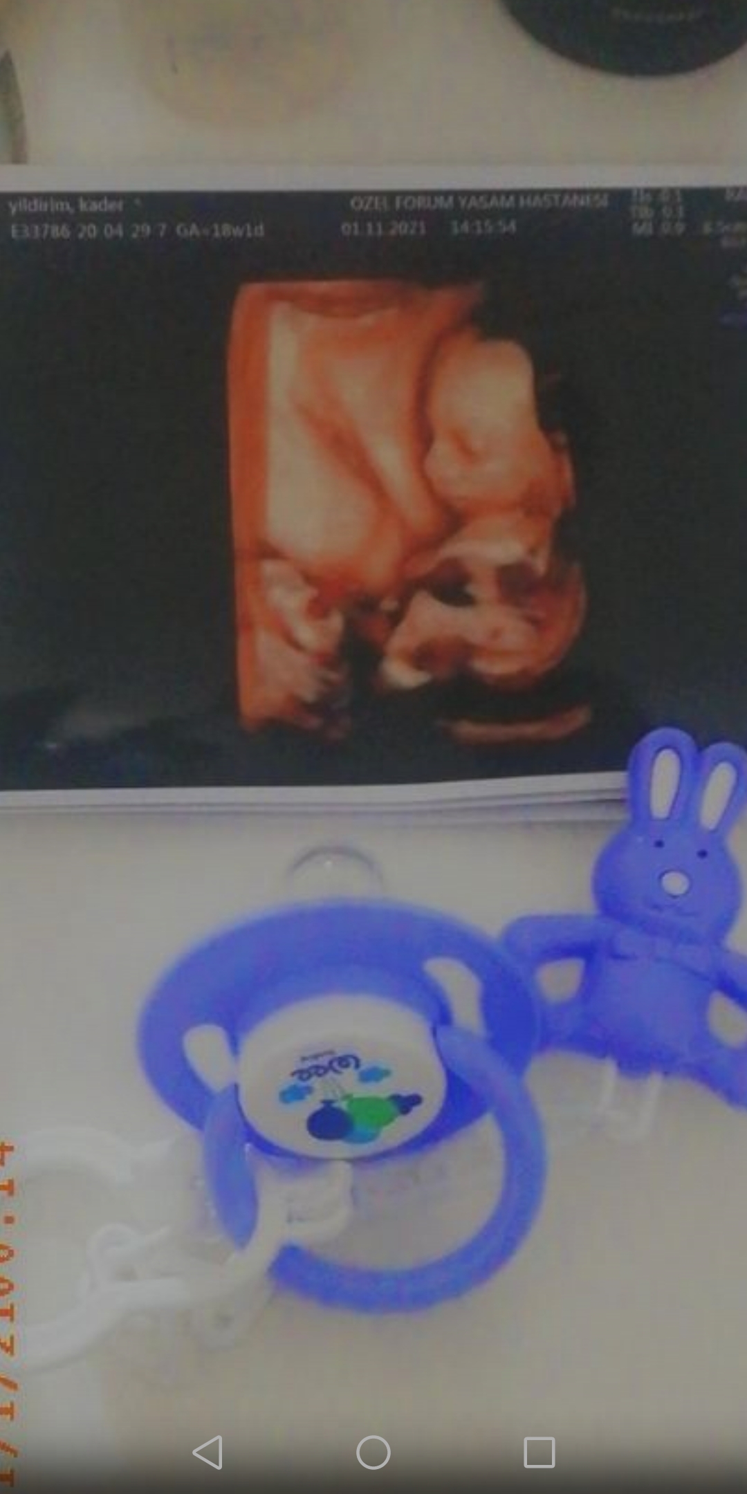 Screenshot_20220202-204320.jpg