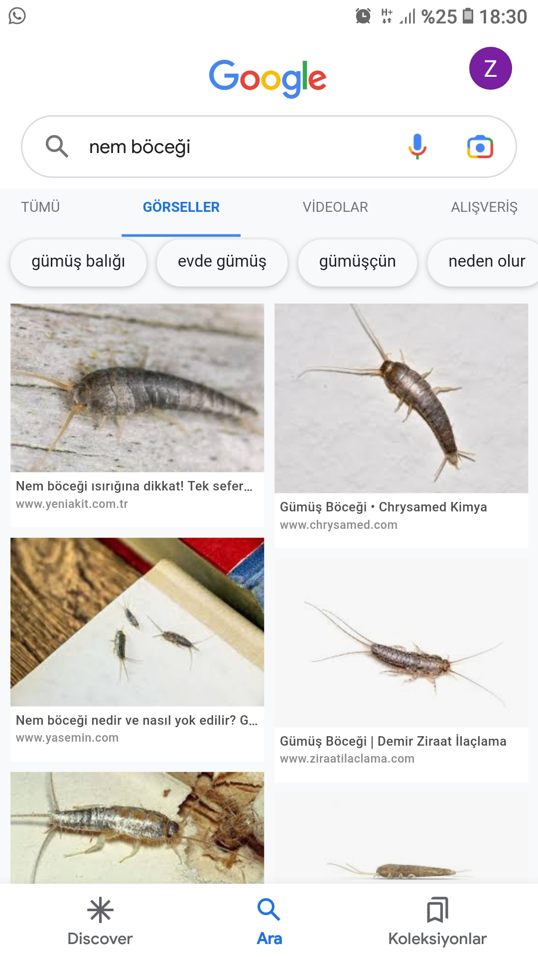Screenshot_20230815-183004_Google.jpg
