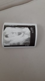 IMG-20211222-WA0001.jpeg