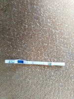 IMG_20220303_124054.jpg