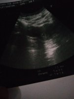 IMG-20220412-WA0000.jpeg