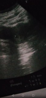 Screenshot_20220412-121701.jpg