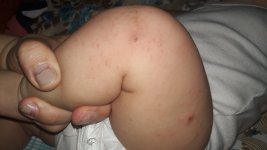 IMG-20220814-WA0009.jpeg