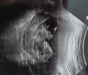 20230411_144711.jpg
