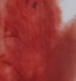 20230610_080434.jpg