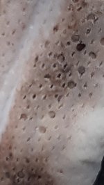 20230610_080438.jpg