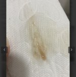 IMG_2318.jpeg