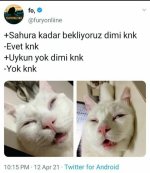 02f6ed7f60dbad456202ce5a5f54a655.jpg