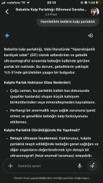 IMG_0413.png