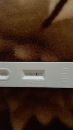 068C297E-68BF-4646-86B4-4C617D826BBF.jpeg