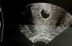 IMG_9221.jpeg