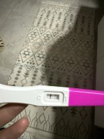 IMG_2666.jpeg