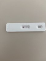 IMG_2891.jpeg