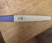 IMG_1385.jpeg