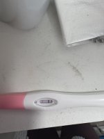 IMG_2763.jpeg