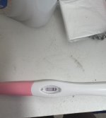 IMG_2764.jpeg