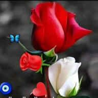 Filiz068283